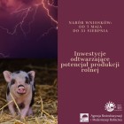 Tekst alternatywny: 