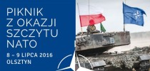 Piknik z okazji szczytu NATO