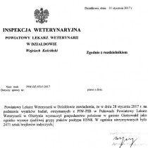 Ptasia grypa w warmińsko-mazurskim