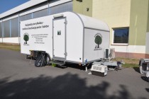 JAK GMINA RYBNO SKUTECZNIE WALCZY Z BEZDOMNOŚCIĄ ZWIERZĄT
