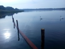 ODŁOWIONO RYBY NAD J. ZARYBINEK 
