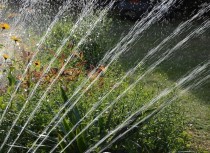 Nawadnianie: wydłużony termin naboru