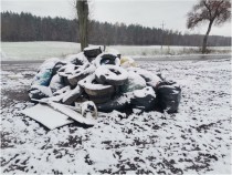 Nadleśnictwo zleciło posprzątanie lasów