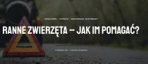 Ranne zwierzęta – jak im pomagać?