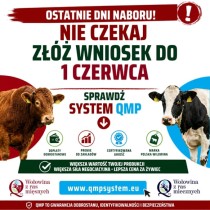 Dodatkowe dopłaty do bydła. Zostało niewiele czasu na ważny wniosek