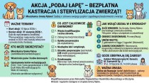 Program bezpłatnej kastracji i sterylizacji zwierząt - nabór wniosków