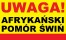  Uwaga ASF!