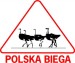 Polska Biega 2015