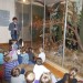 Warsztaty edukacyjne przedszkolaków w Olsztynie