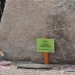 Otwarcie lapidarium przy Zespole Szkół w Rybnie