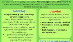 Tekst alternatywny:
